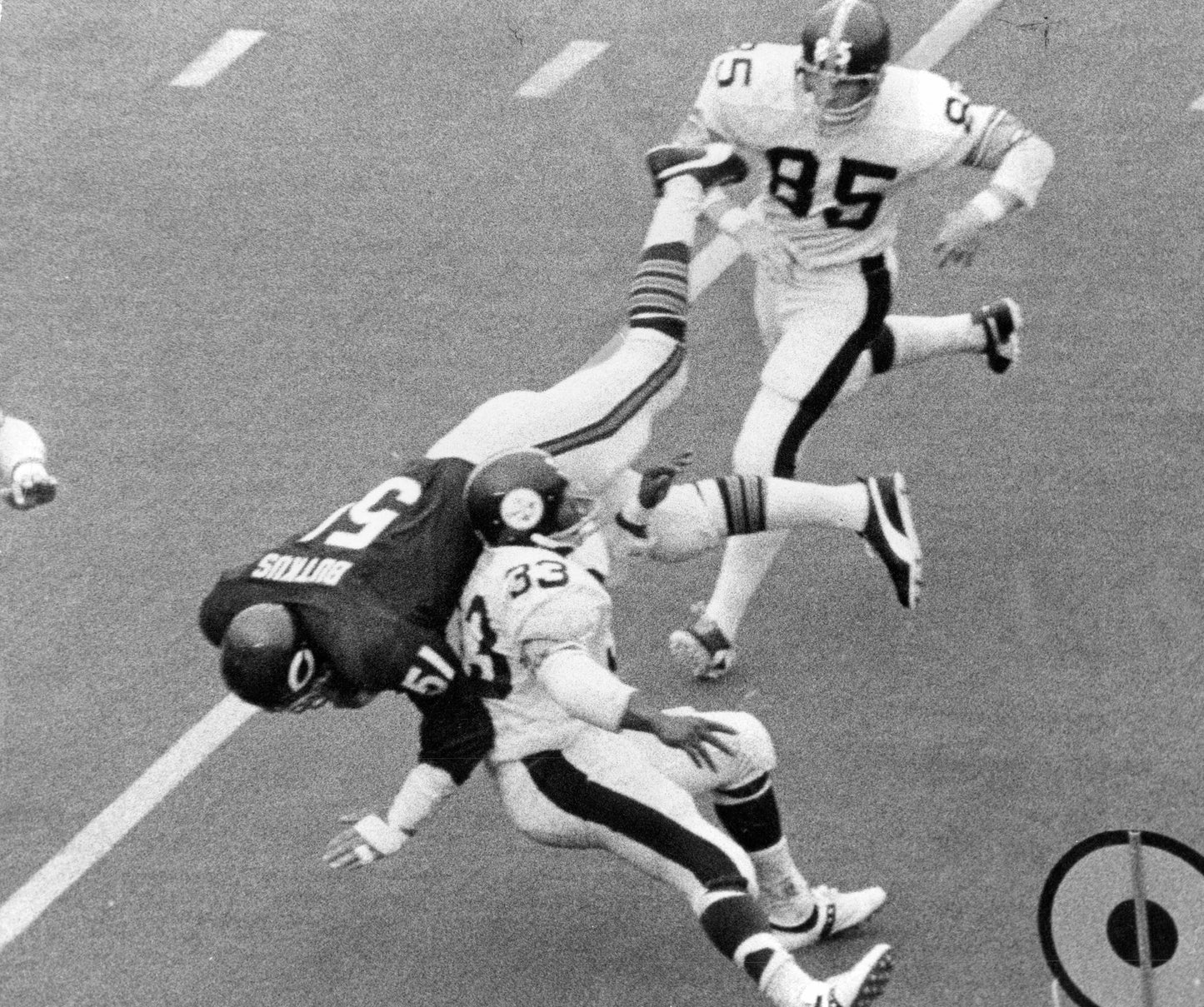 Butkus: The Legendary Career of Dick Butkus Book