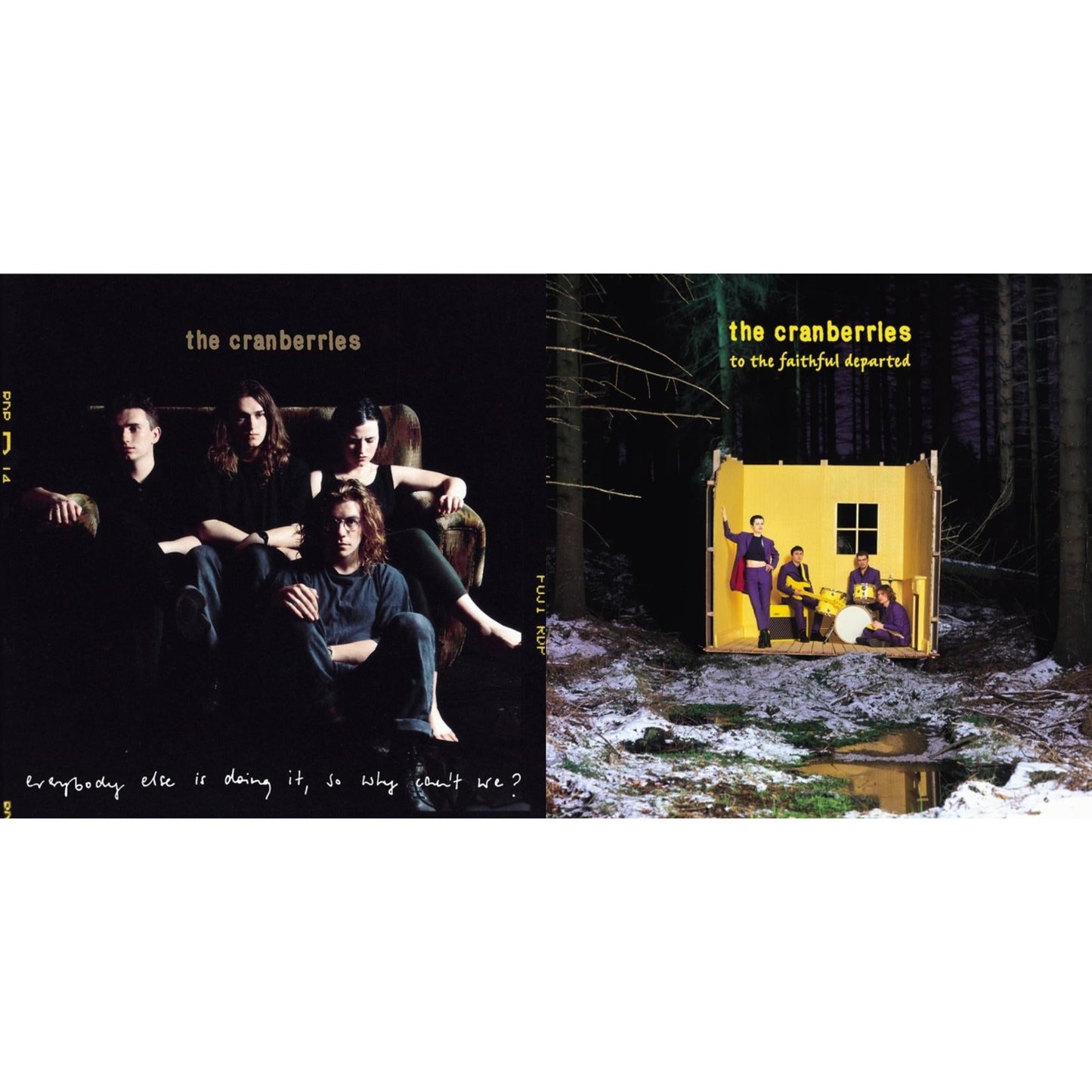 Cranberries - To The Faithful Departed & Everybody Else Is Doing It So Why Can't We (LP)