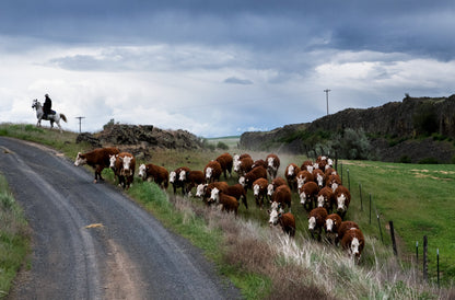 A Year in the Fields: The State of the Washington Farmer Book
