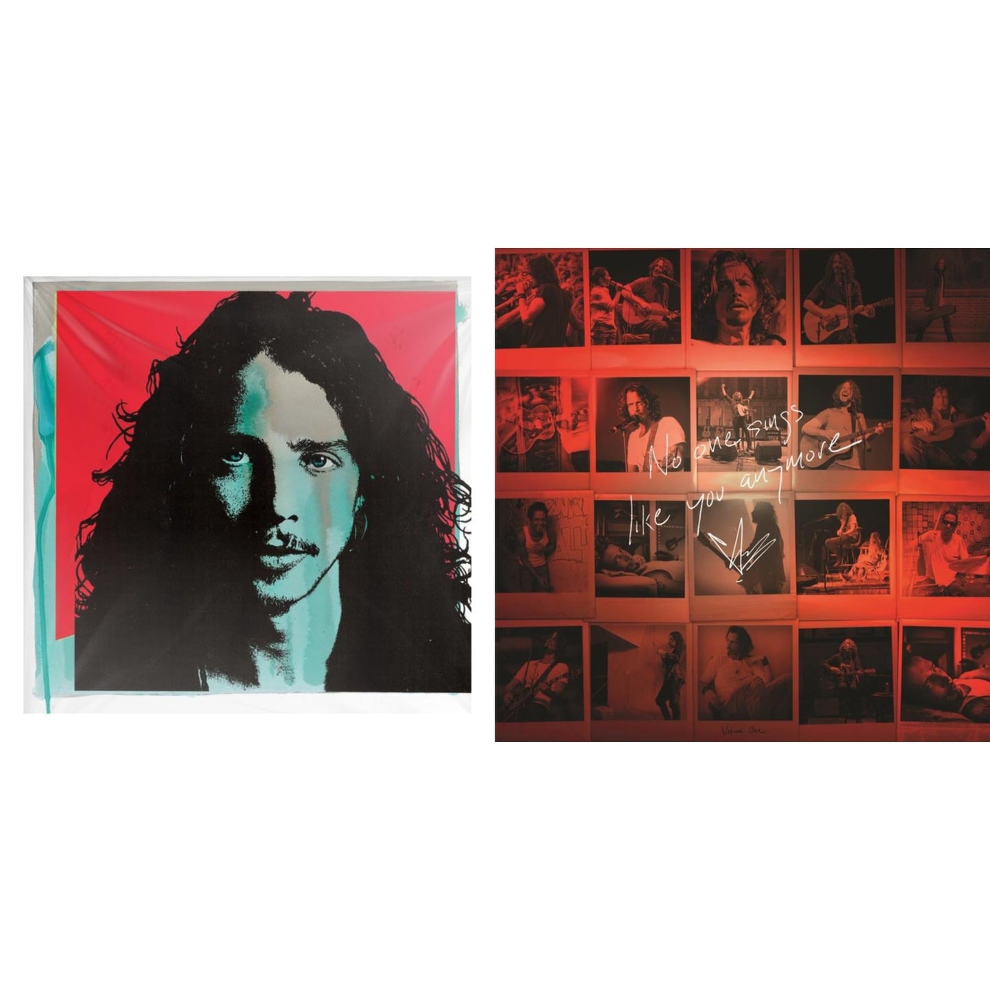 Chris Cornell - No One Sings Like You Anymore (Picture Disc) & Chris Cornell (2LP/180G)