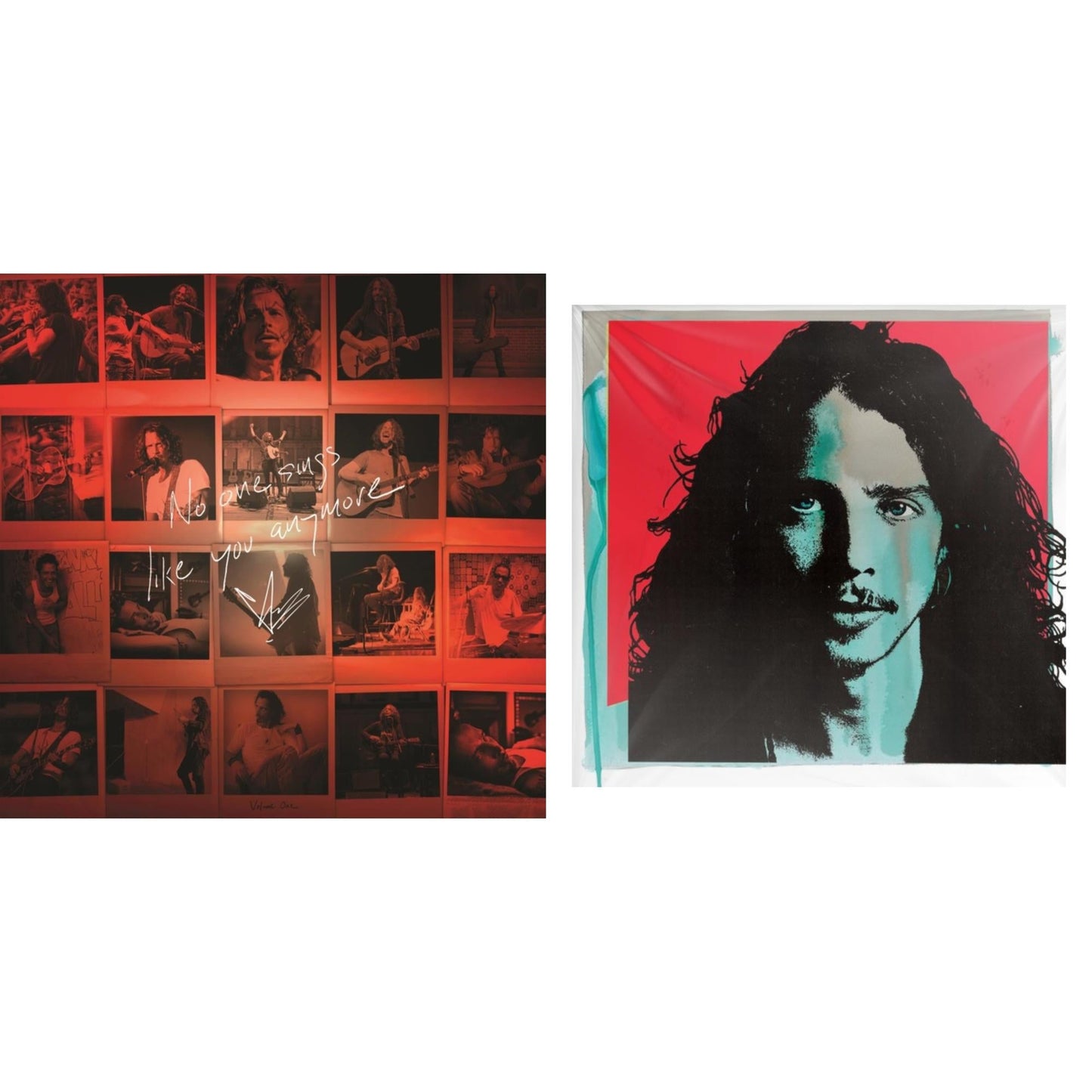 Chris Cornell - No One Sings Like You Anymore (Picture Disc) & Chris Cornell (2LP/180G)