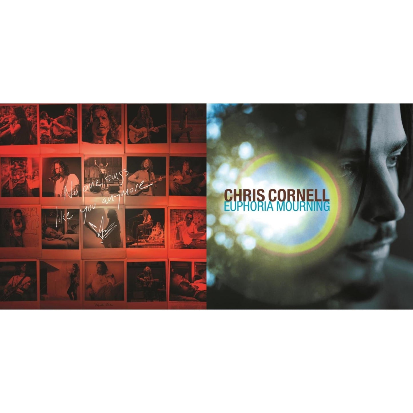 Chris Cornell - No One Sings Like You Anymore (Picture Disc) & Euphoria Mourning - LP Vinyl Bundle