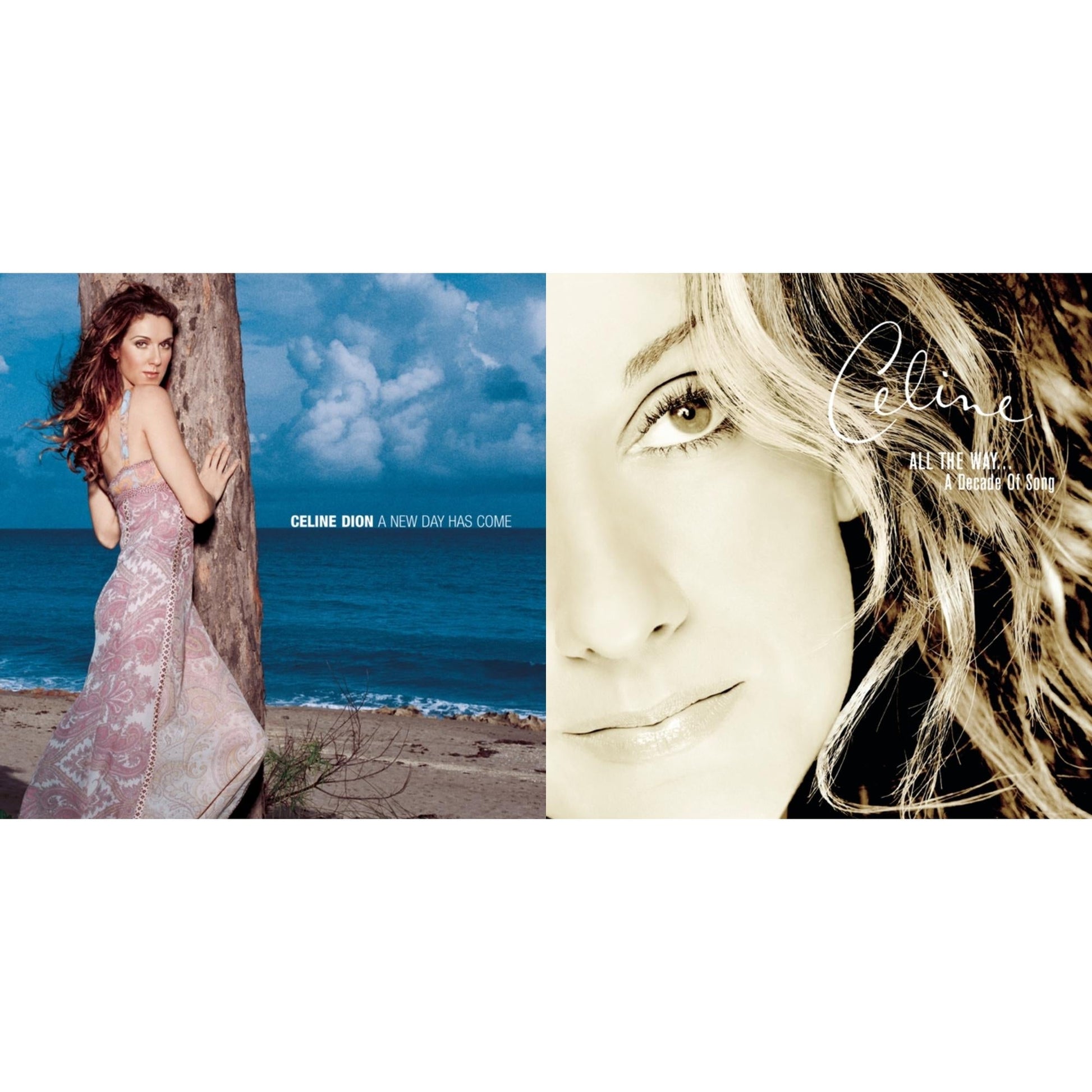 Celine Dion - Playlist: Celine Dion All The Way...Decade Of Song & New Day Has Come - CD Bundle