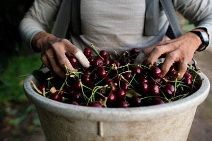 A Year in the Fields: The State of the Washington Farmer Book