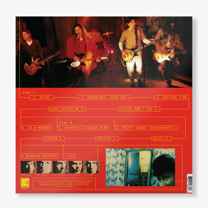 Hints, Allegations & Things Left Unsaid (LP) Vinyl Record