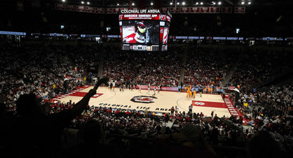 Dawn of a Dynasty: The South Carolina Gamecocks Return to College Basketball Glory with Their Second NCAA Title Book