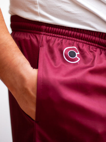 Colorado Avalanche Mesh Hockey Shorts