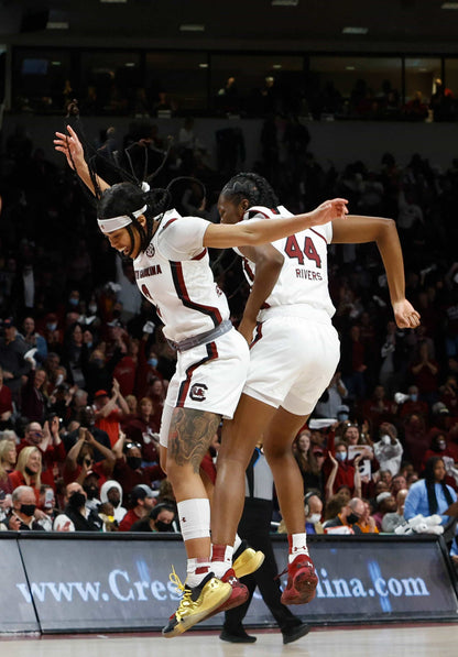 Dawn of a Dynasty: The South Carolina Gamecocks Return to College Basketball Glory with Their Second NCAA Title Book