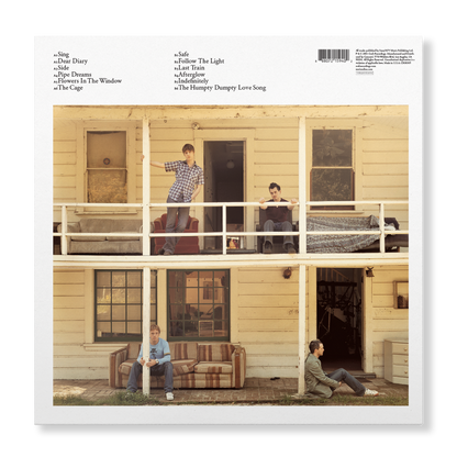 The Invisible Band (LP) Vinyl Record