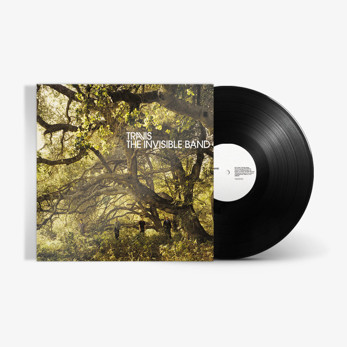 The Invisible Band (LP) Vinyl Record