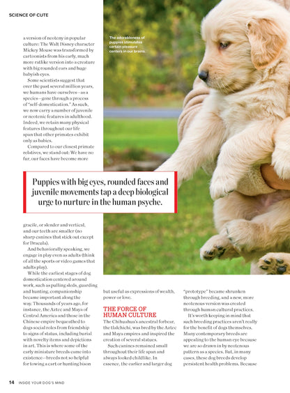 Inside Your Dog's Mind - New Discoveries: What They Really Think, Understand Their World, Decode Your Pet's Personality, Dog Dreams Explained + Teach Your Pup English!