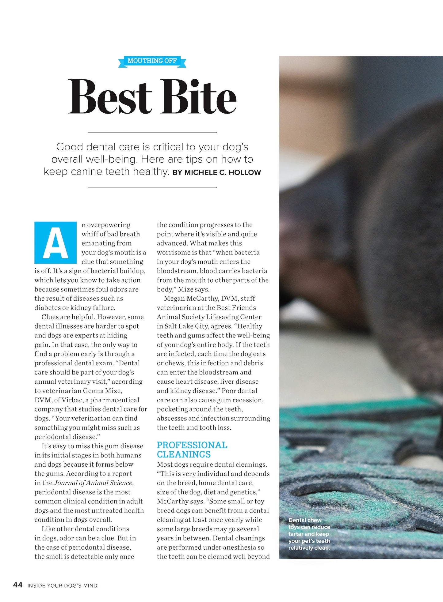 Inside Your Dog's Mind - New Discoveries: What They Really Think, Understand Their World, Decode Your Pet's Personality, Dog Dreams Explained + Teach Your Pup English!