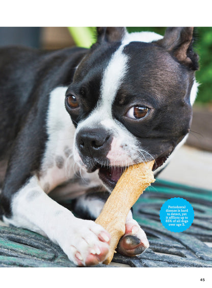 Inside Your Dog's Mind - New Discoveries: What They Really Think, Understand Their World, Decode Your Pet's Personality, Dog Dreams Explained + Teach Your Pup English!