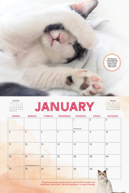 Cute Cats - 2026 Calendar: A Year Of Playful, Lovable & Adorable Furry Feline Friends, Adorable Collection Of Cats & Kittens, Bring Happiness & Warmth To Cat Lovers & More!
