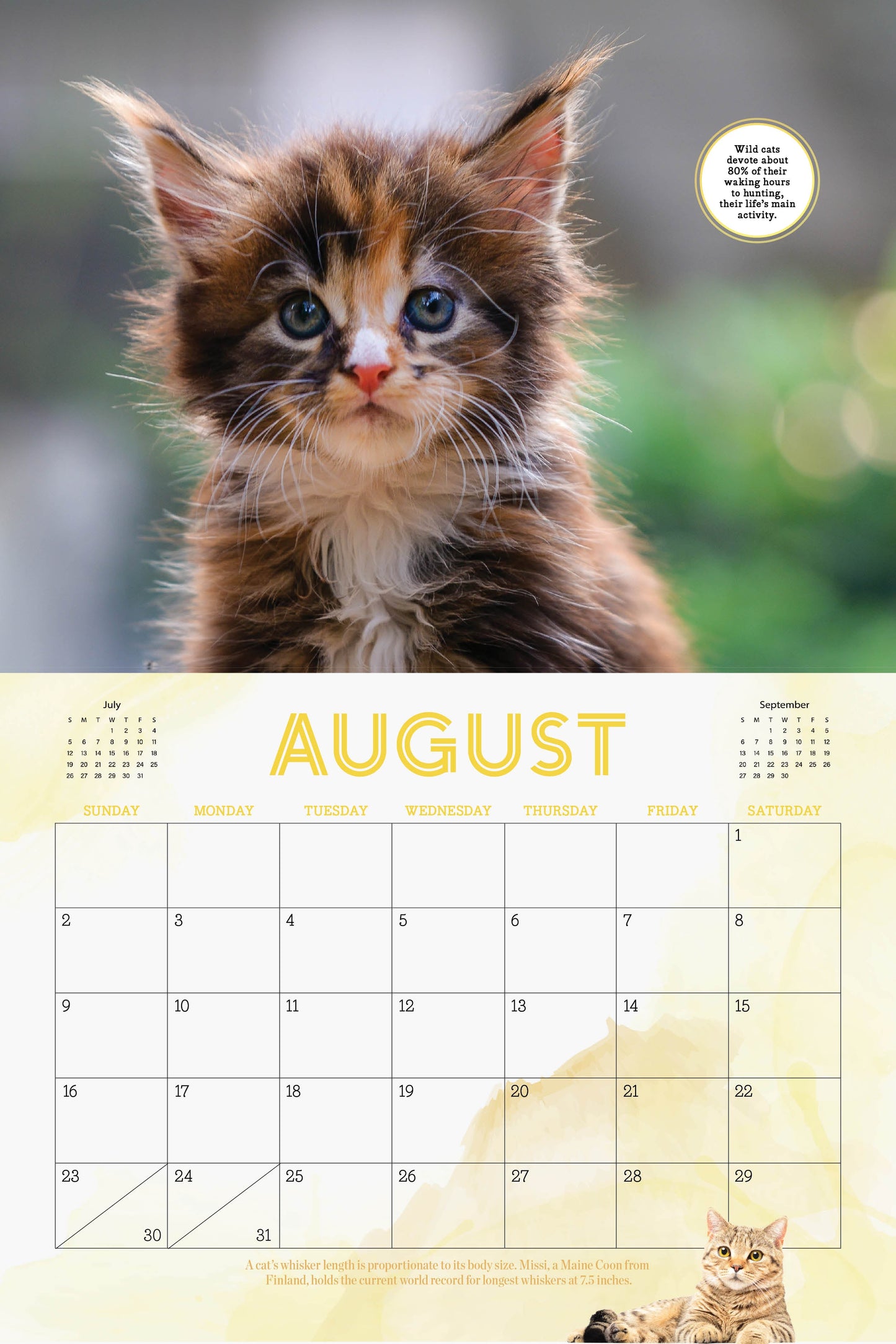 Cute Cats - 2026 Calendar: A Year Of Playful, Lovable & Adorable Furry Feline Friends, Adorable Collection Of Cats & Kittens, Bring Happiness & Warmth To Cat Lovers & More!
