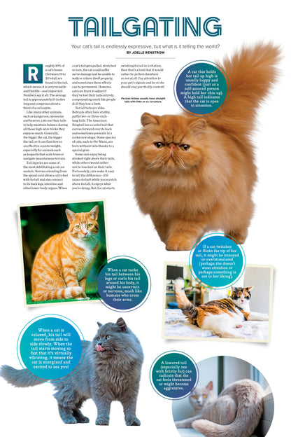 Cute Cats - 2026 Calendar: A Year Of Playful, Lovable & Adorable Furry Feline Friends, Adorable Collection Of Cats & Kittens, Bring Happiness & Warmth To Cat Lovers & More!