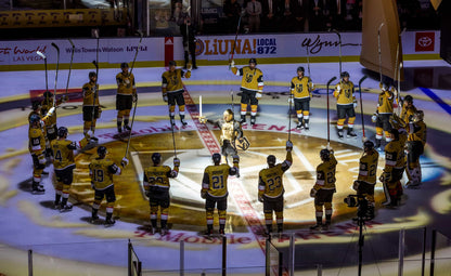 GOLDEN! The Story of the Vegas Golden Knights’ Stanley Cup Season Book
