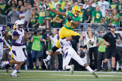 Rare Air: The University of Oregon's Historic 2014 Football Season Book