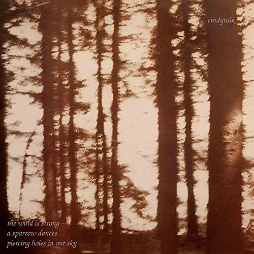 Wind Is Strong Vinyl Record