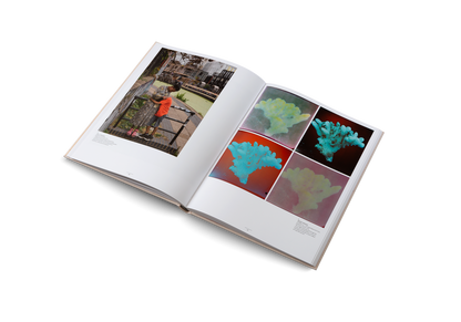 Collage Book