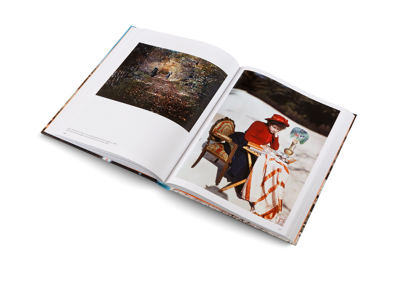 The Colors of Life Book