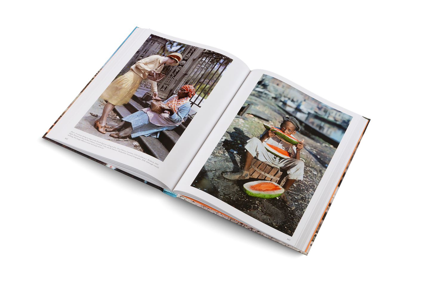 The Colors of Life Book