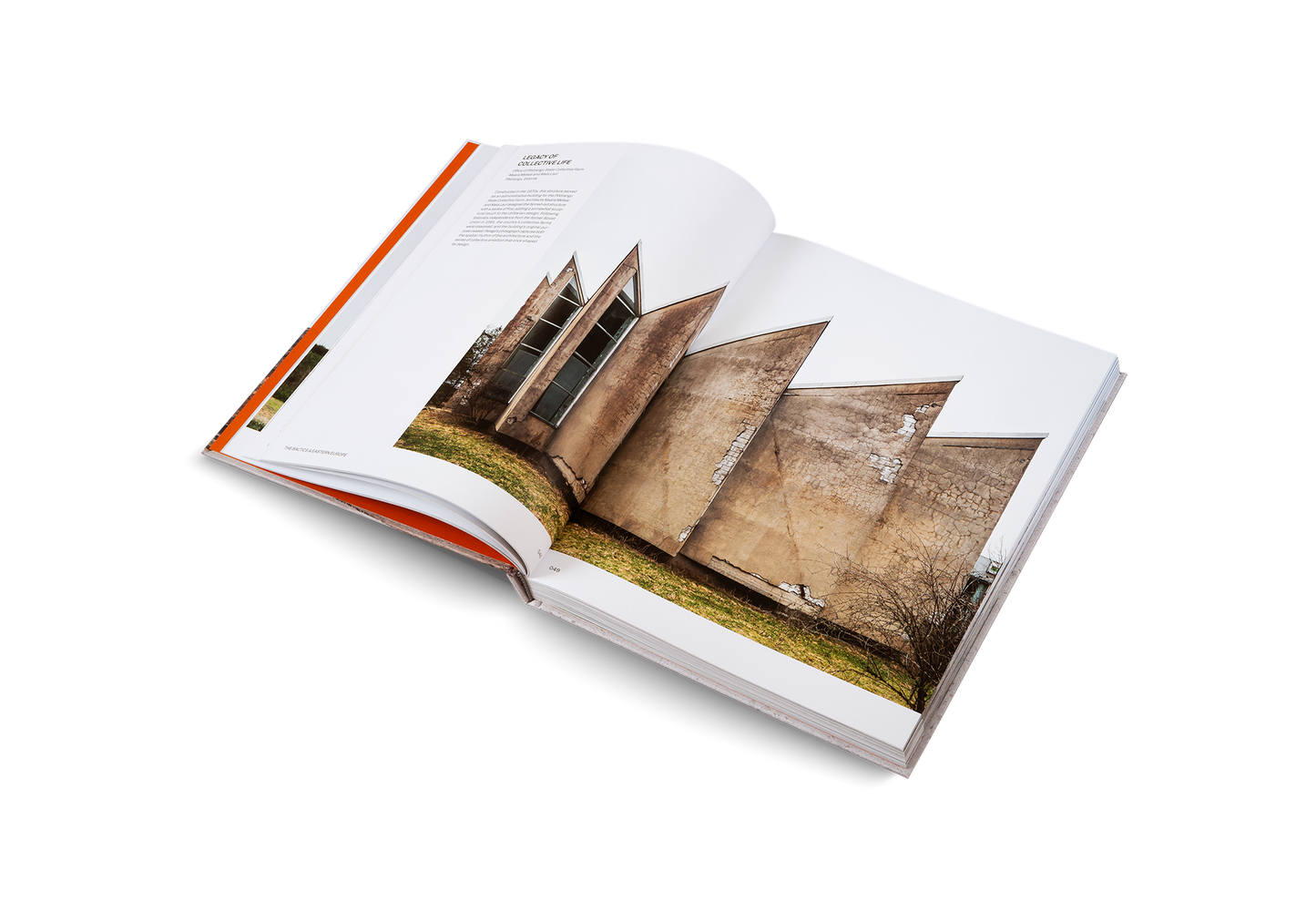 Concrete, mon amour Book