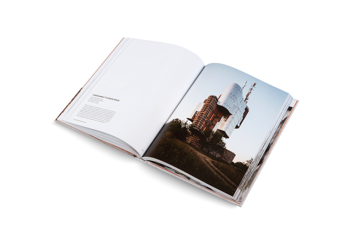 Concrete, mon amour Book