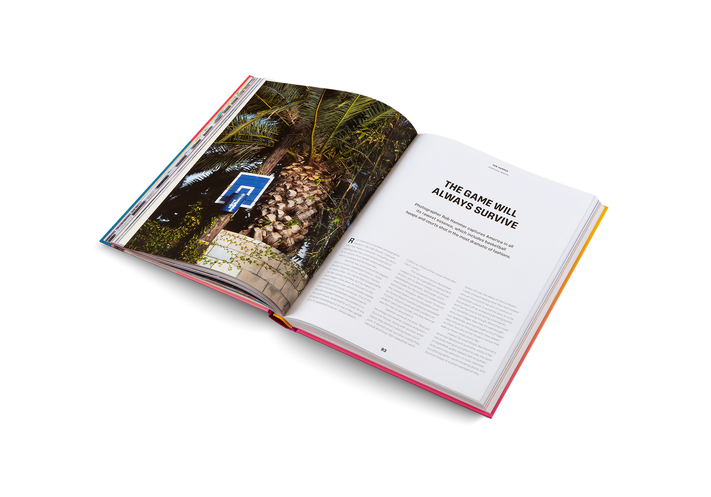 Courtside Candy Book