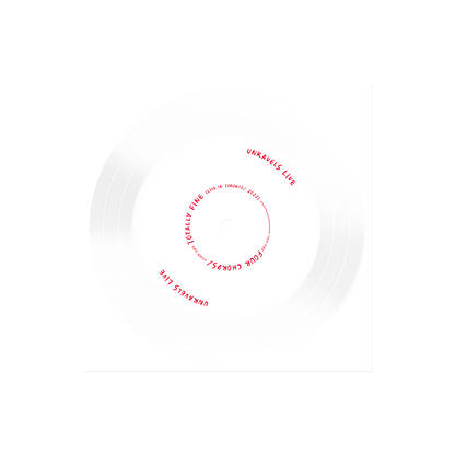 PUP 'PUP Unravels Live In Front Of Everyone They Know' Disc (3 Piece Flexi Disc) Vinyl Record
