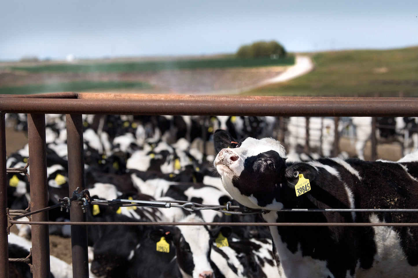 A Year in the Fields: The State of the Washington Farmer Book