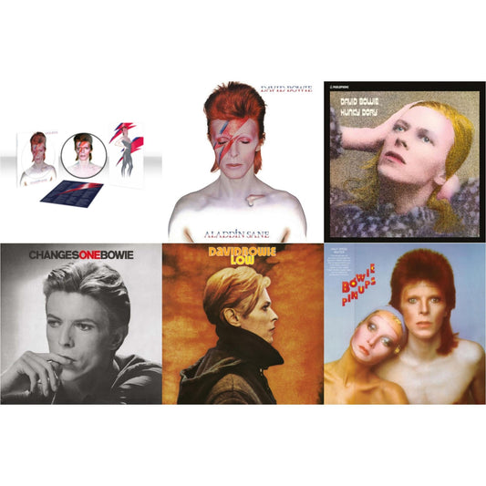 David Bowie - Low (2017 Remaster) & Changesonebowie (180G) & Aladdin Sane (2013 Remaster) (Picture Disc) & Pinups (2015 Remaster) & Aladdin Sane & Hunky Dory - LP Vinyl Bundle