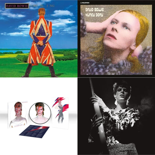 David Bowie - Earthling (2021 Remaster/2LP) & Aladdin Sane (2013 Remaster) (Picture Disc) & Rock N Roll Star & Hunky Dory