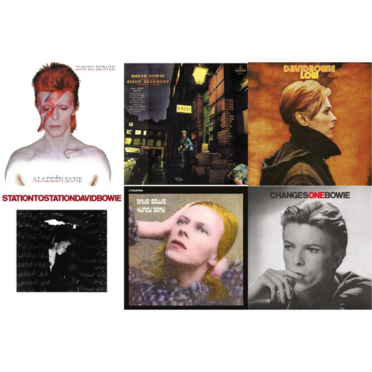 David Bowie - Low (2017 Remaster) & Station To Station (2016 Remastered Version) & Changesonebowie (180G) & Rise & Fall Of Ziggy Stardust & The Spiders From Mars (2012 Remaster/Half-Speed Master) & Aladdin Sane & Hunky Dory - LP Vinyl Bundle