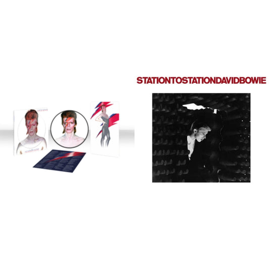 David Bowie - Station To Station (2016 Remastered Version) & Aladdin Sane (2013 Remaster) (Picture Disc) - LP Vinyl Bundle