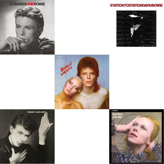 David Bowie - Heroes (2017 Remaster) & Station To Station (2016 Remastered Version) & Changesonebowie (180G) & Hunky Dory (2015 Remaster/50Th Anniv/Picture Disc) & Pinups (2015 Remaster) - LP Vinyl Bundle