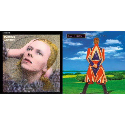 David Bowie - Hunky Dory (2015 Remaster/50Th Anniv/Picture Disc) & Earthling (2021 Remaster/2LP)