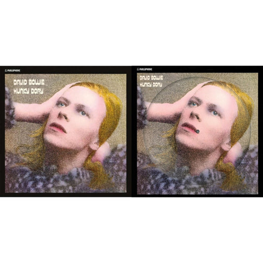 David Bowie - Hunky Dory (2015 Remaster/50Th Anniv/Picture Disc) & Hunky Dory - LP Vinyl Bundle