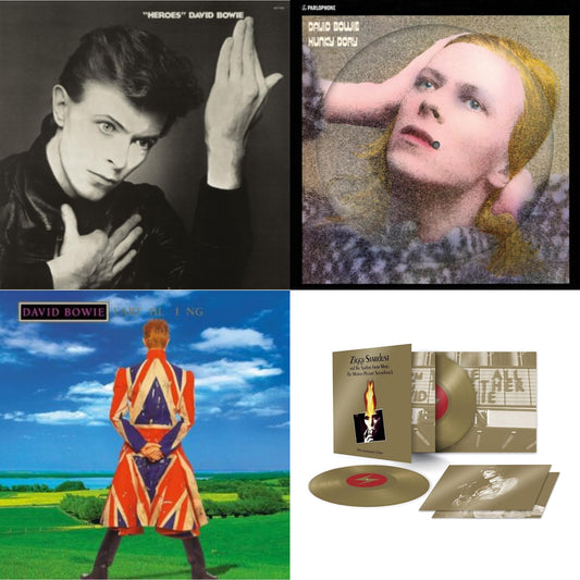 David Bowie - Earthling (2021 Remaster/2LP) & Heroes (2017 Remaster) & Hunky Dory (2015 Remaster/50Th Anniv/Picture Disc) & Ziggy Stardust & The Spiders From Mars Ost (50Th Anniversary/2LP)