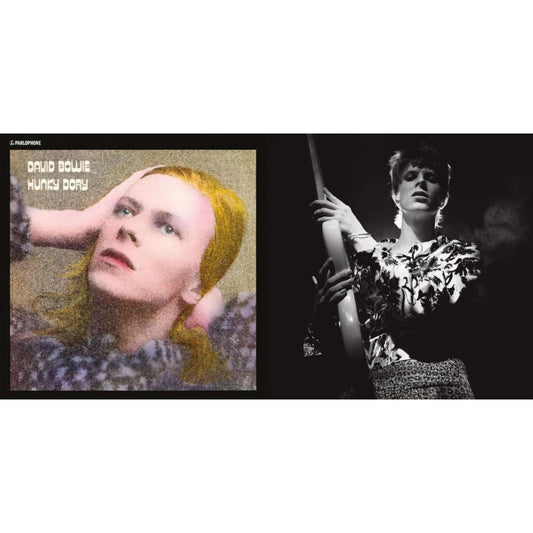 David Bowie - Rock N Roll Star & Hunky Dory - LP Vinyl Bundle