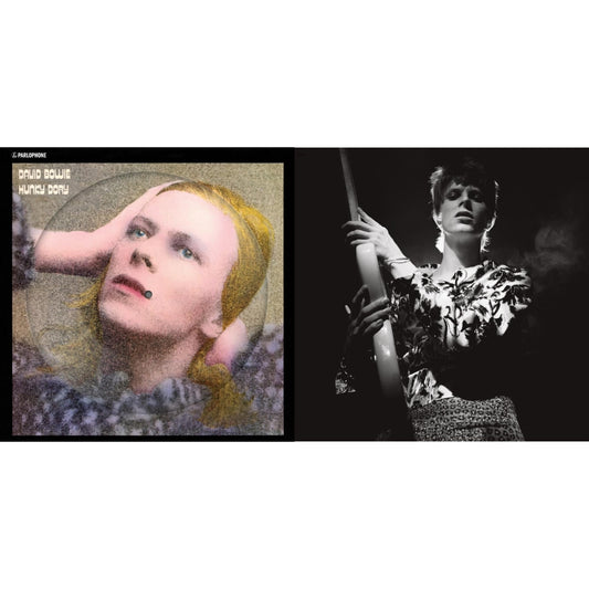David Bowie - Hunky Dory (2015 Remaster/50Th Anniv/Picture Disc) & Rock N Roll Star - LP Vinyl Bundle