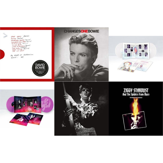 David Bowie - Mercury Demos & Changesonebowie (180G) & Live Los Angeles 1974 (White LP Vinyl/Limited) & Live In Rio 1990 (Pink LP Vinyl/180G/Limited) & Rock N Roll Star & Ziggy Stardust & The Spiders From Mars Ost (2LP)