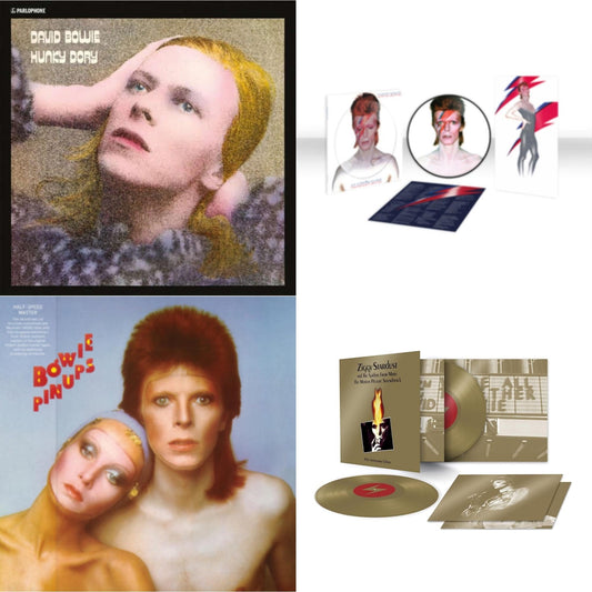 David Bowie - Aladdin Sane (2013 Remaster) (Picture Disc) & Pinups (2015 Remaster) & Ziggy Stardust & The Spiders From Mars Ost (50Th Anniversary/2LP) & Hunky Dory