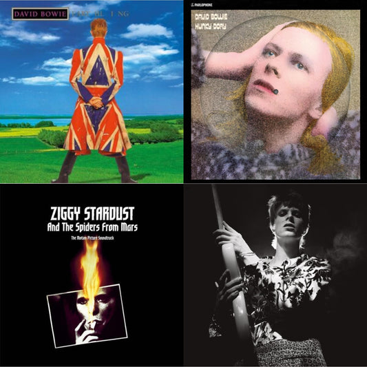 David Bowie - Earthling (2021 Remaster/2LP) & Hunky Dory (2015 Remaster/50Th Anniv/Picture Disc) & Rock N Roll Star & Ziggy Stardust & The Spiders From Mars Ost (2LP)
