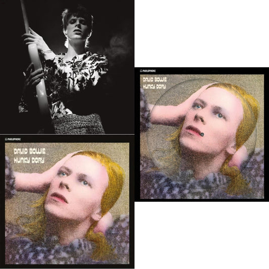 David Bowie - Hunky Dory (2015 Remaster/50Th Anniv/Picture Disc) & Rock N Roll Star & Hunky Dory - LP Vinyl Bundle