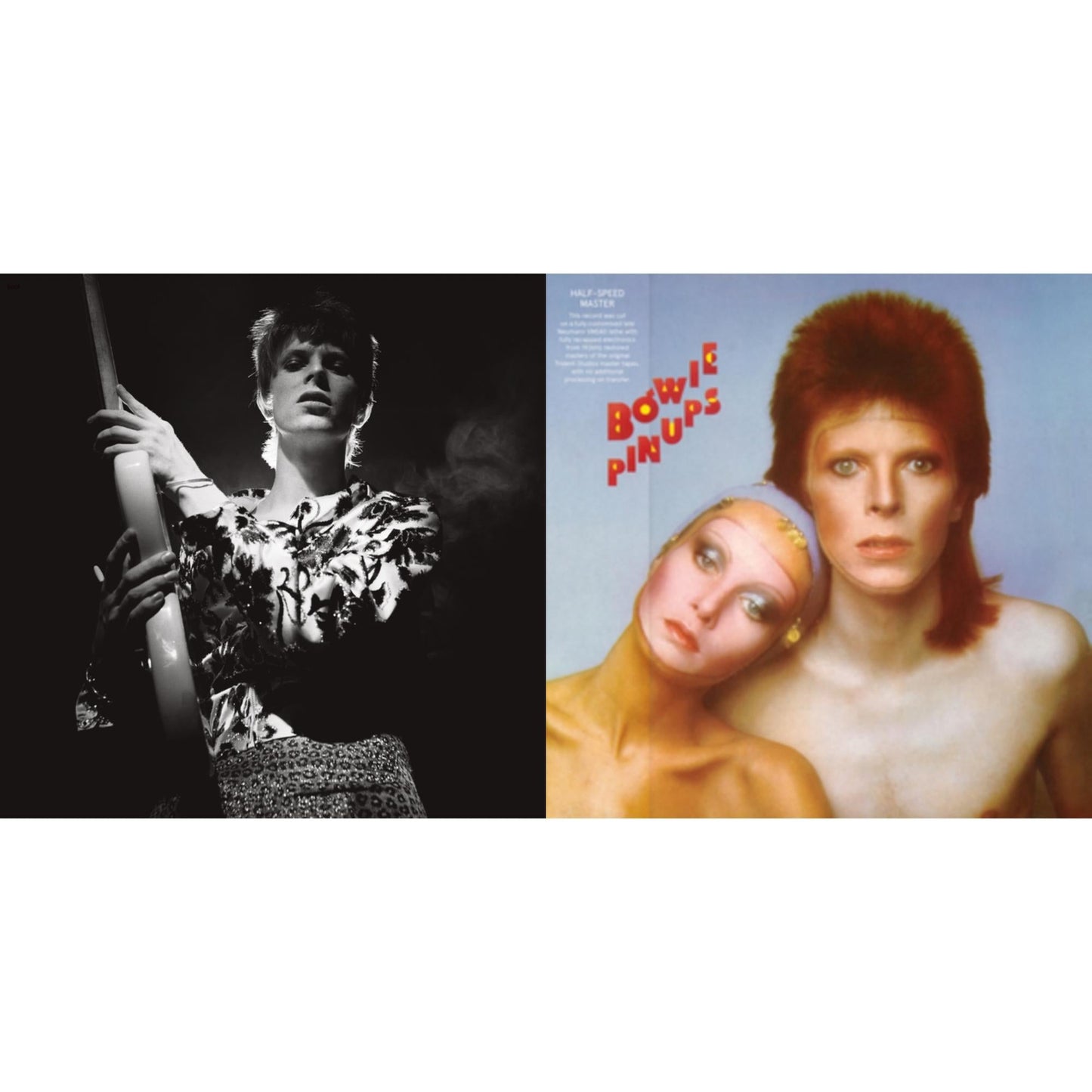 David Bowie - Pinups (2015 Remaster) & Rock N Roll Star - LP Vinyl Bundle