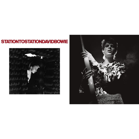 David Bowie - Station To Station (2016 Remastered Version) & Rock N Roll Star - LP Vinyl Bundle