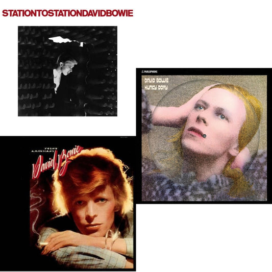 David Bowie - Station To Station (2016 Remastered Version) & Young Americans (2016 Remastered Version) & Hunky Dory (2015 Remaster/50Th Anniv/Picture Disc) - LP Vinyl Bundle