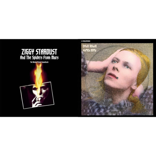 David Bowie - Hunky Dory (2015 Remaster/50Th Anniv/Picture Disc) & Ziggy Stardust & The Spiders From Mars Ost (2LP)