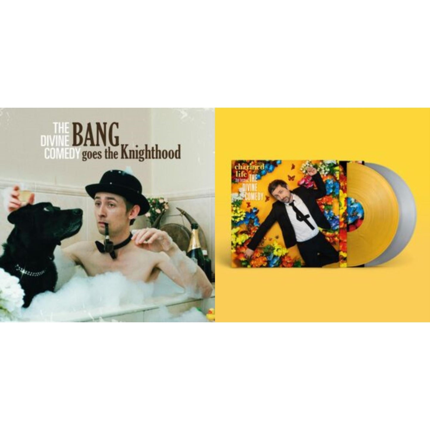 Divine Comedy - Bang Goes The Knighthood & Charmed Life - The Best Of The Divine Comedy (Colored LP Vinyl)